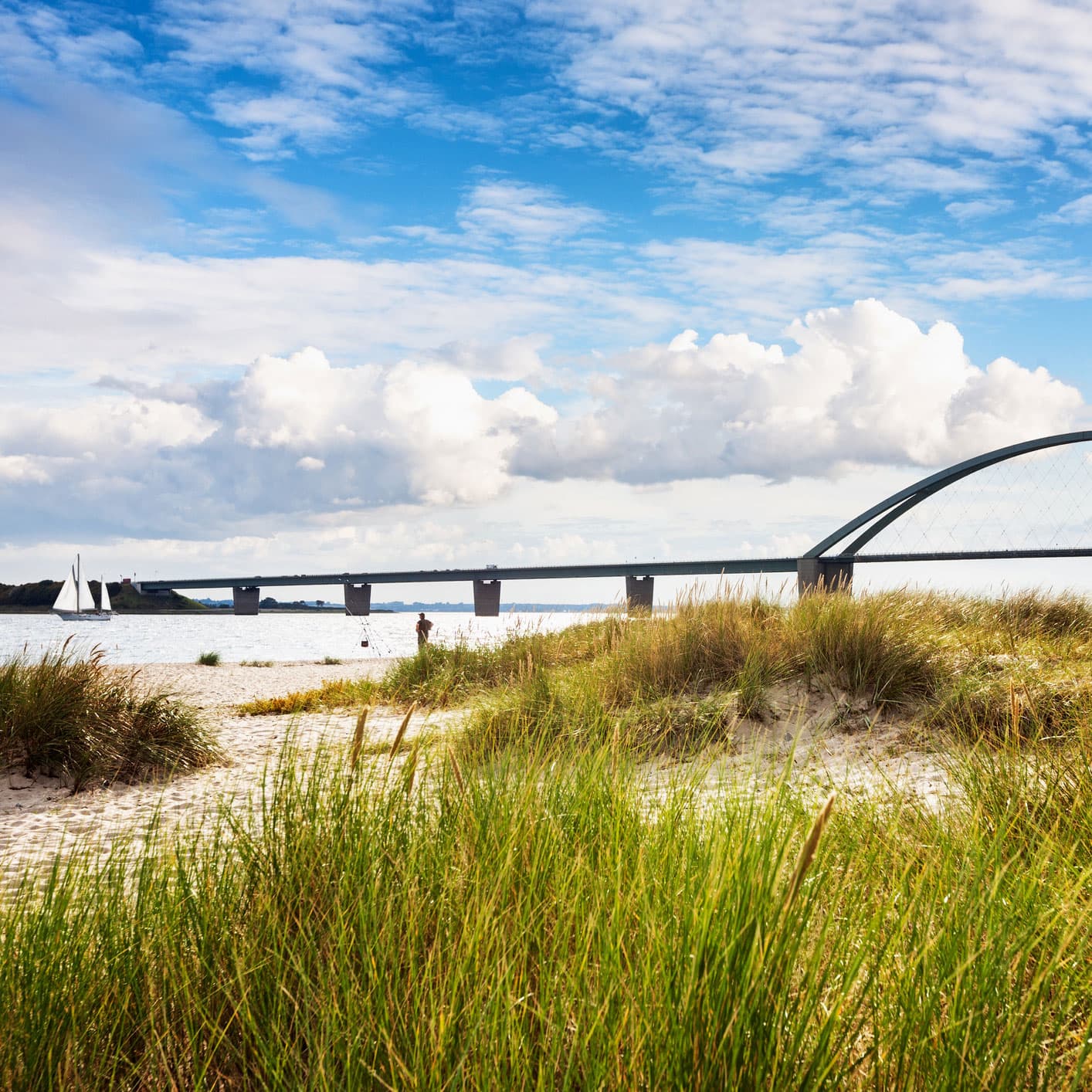 Activities Fehmarn-bruecke