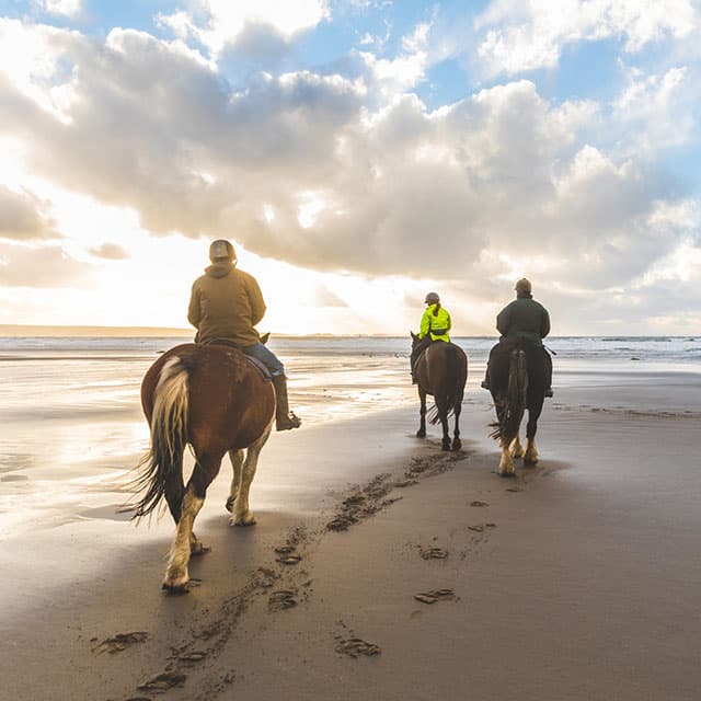 Activities Reiten-am-strand