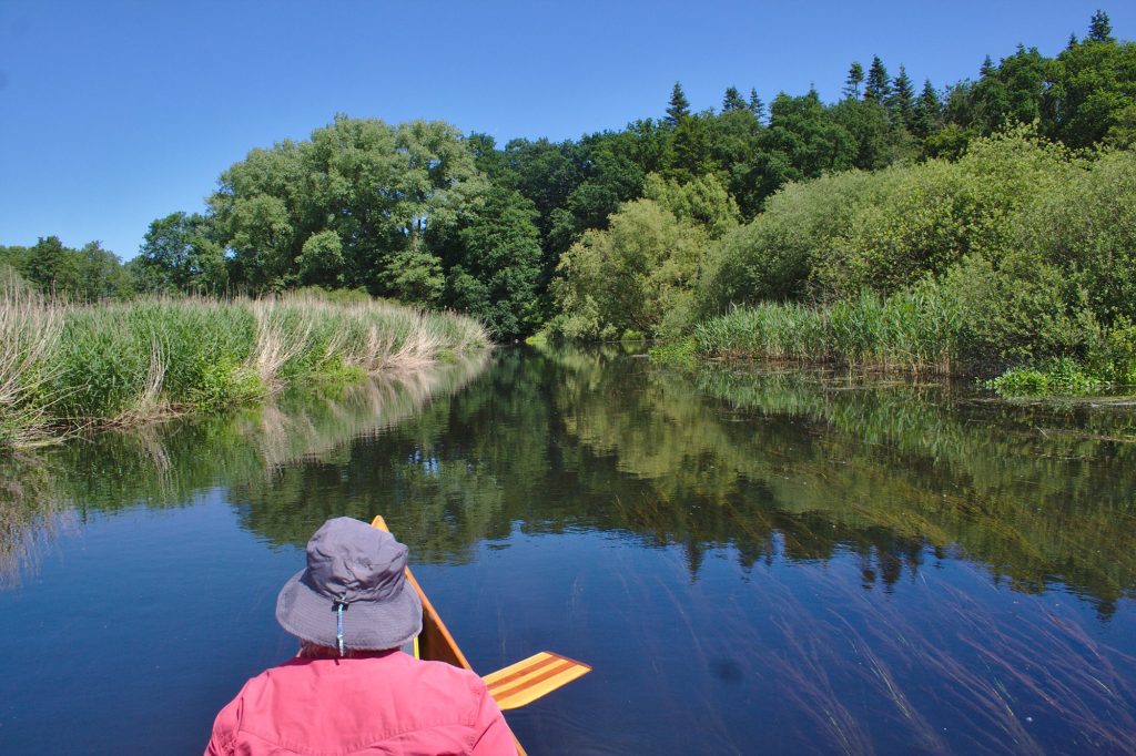 Kanutour auf der Schwentine