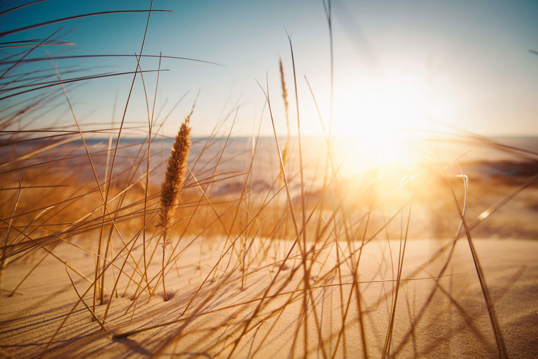 All Day under the Sun – Wellness und Seeluft